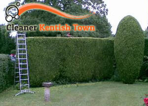 Hedge Maintenance Kentish