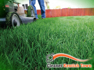 grass-cutting-services-kentish-town